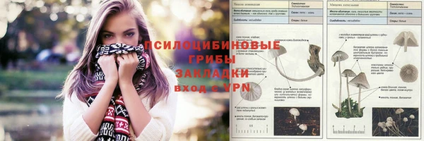 круглые Арсеньев